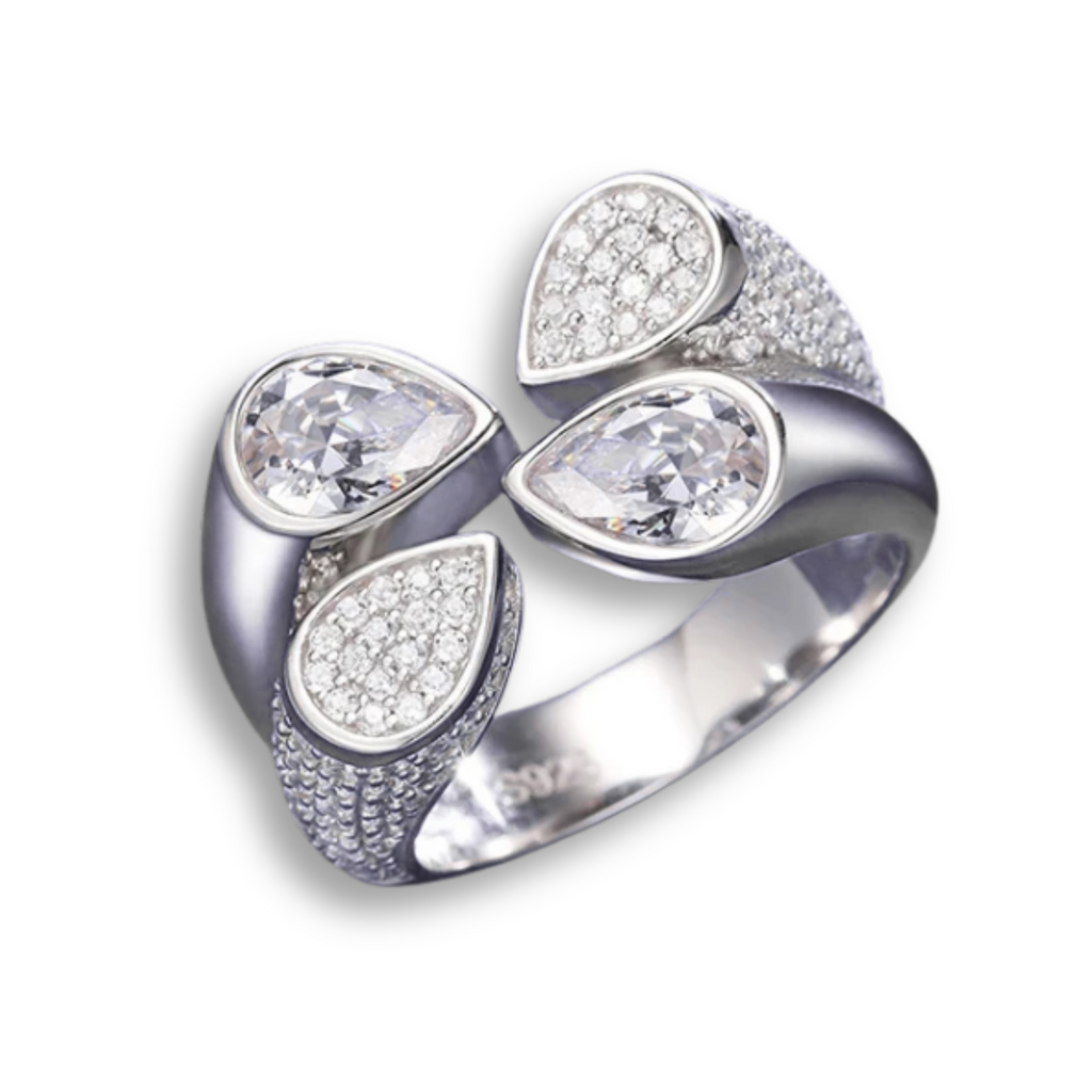 Anillo Magnus