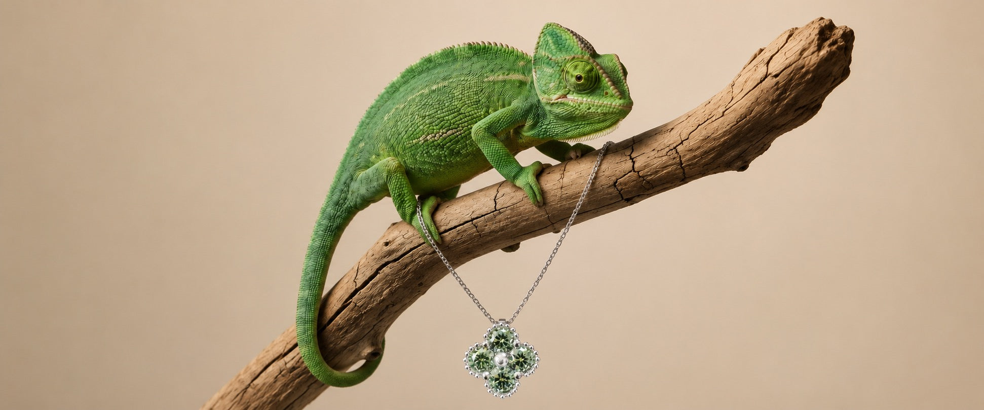 Fortuna verde
